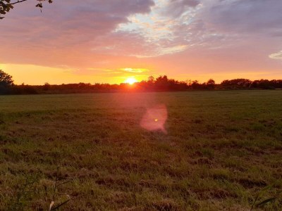 Holiday house 10 person holiday home in Væggerløse - Outdoor photo 35