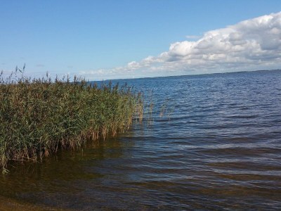 Holiday house 6 Personen Ferienhaus in Ulfborg - Outdoor photo 34