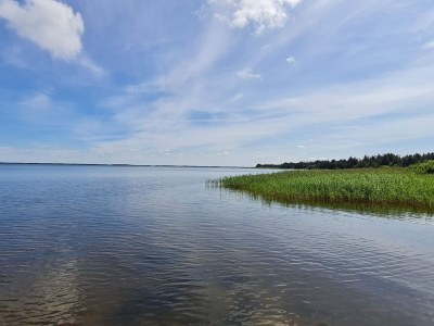 Holiday house 6 Personen Ferienhaus in Ulfborg - Outdoor photo 39