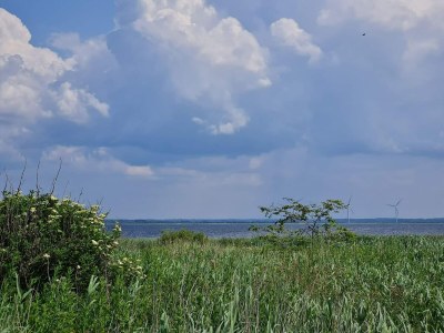 Holiday house 6 Personen Ferienhaus in Ulfborg - Outdoor photo 43