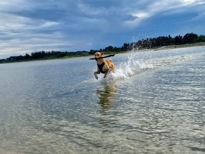 Holiday house 6 person holiday home in Hadsund - Outdoor photo 33