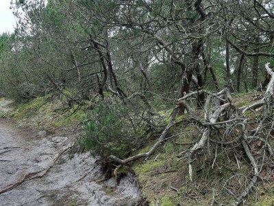 Holiday house 6 person holiday home in Nørre Nebel - Outdoor photo 13