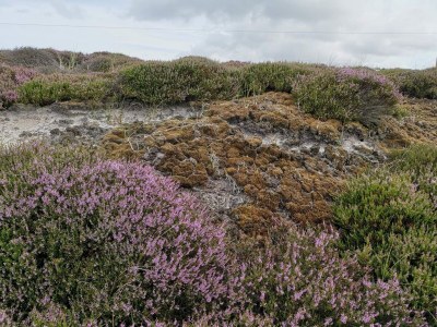 Holiday house 6 person holiday home in Nørre Nebel - Outdoor photo 27