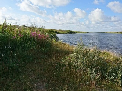 Holiday house 6 person holiday home in Nørre Nebel - Outdoor photo 35