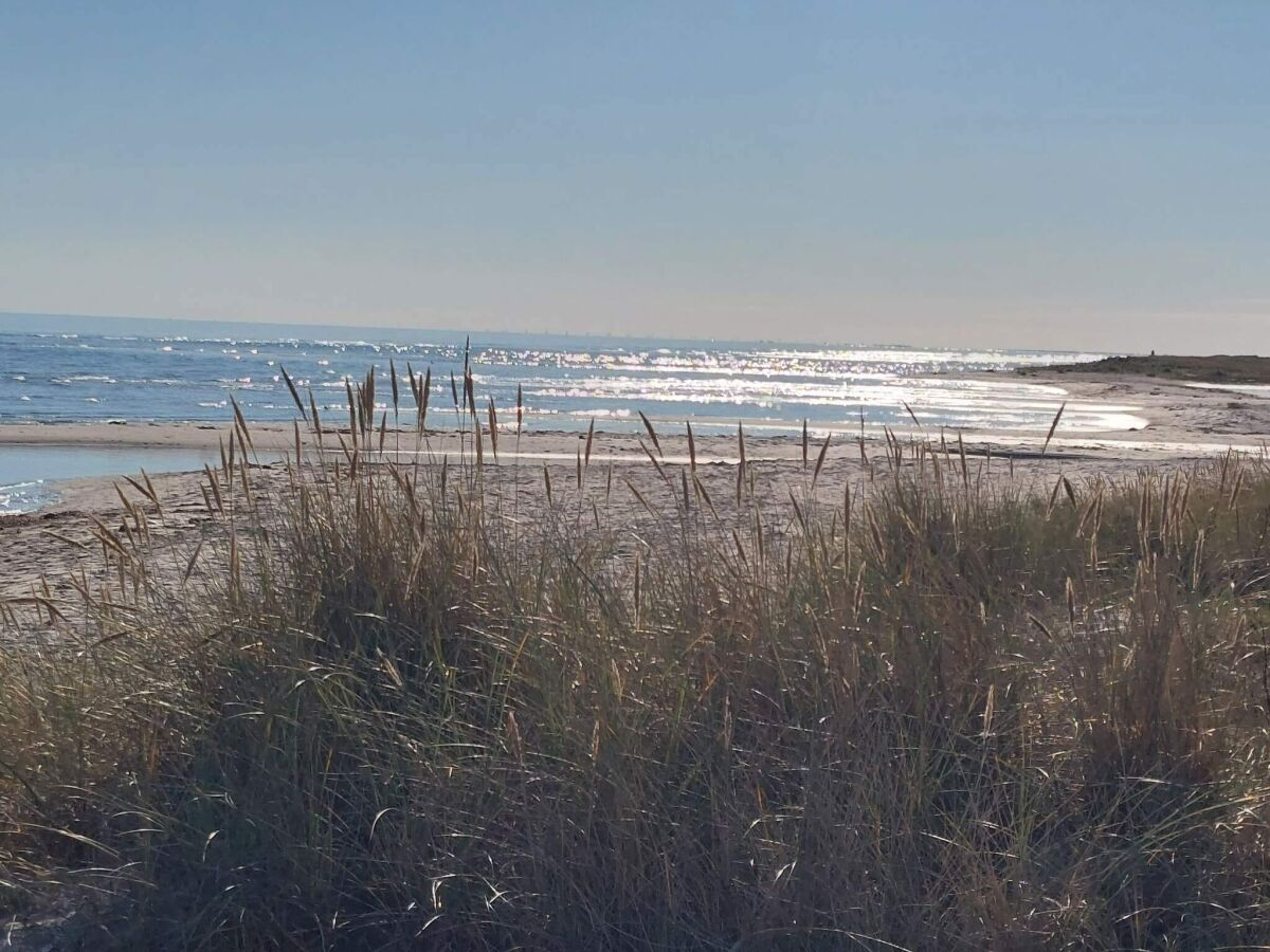 Holiday house Secluded Retreat in Koldkaer - By Traum Ferienwohnungen - Outdoor photo 4