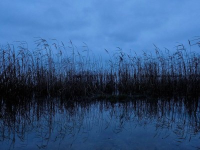 Holiday house Secluded Retreat in Koldkaer - By Traum Ferienwohnungen - Outdoor photo 34