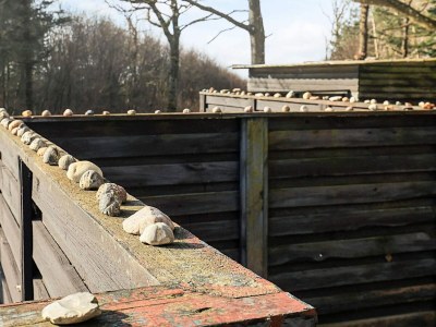 Holiday house Kustenzauber in albaek -- By Traum Ferienwohnungen - Outdoor photo 3