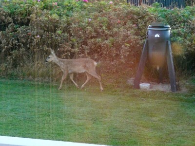 Holiday house 6 person holiday home in Hjørring - Outdoor photo 9