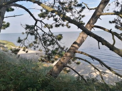 Holiday house 4 person holiday home in Rømø-By Traum - Outdoor photo 21