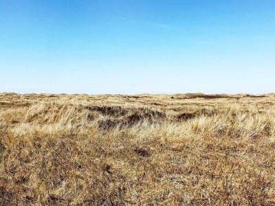 Holiday house 4 person holiday home in Rømø-By Traum - Outdoor photo 32