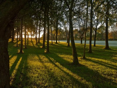 Holiday house 4 person holiday home in Børkop-By Traum - Outdoor photo 15