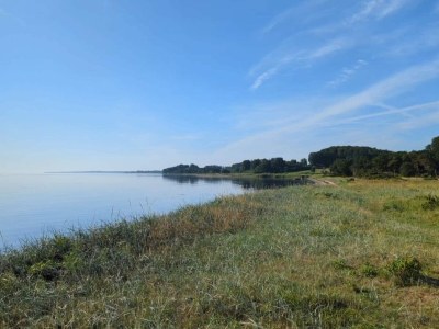 Holiday house 4 person holiday home in Børkop-By Traum - Outdoor photo 16