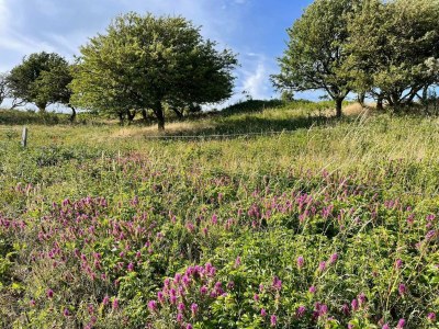 Holiday house Bright Beach House - By Traum Ferienwohnungen - Outdoor photo 35