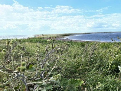 Holiday house Bright Beach House - By Traum Ferienwohnungen - Outdoor photo 39