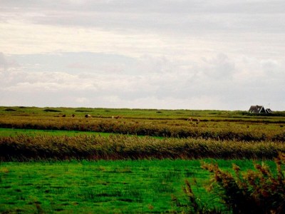 Holiday house Geraumiges Refugium mit Blick -- By Traum Ferienwohnungen - Outdoor photo 9