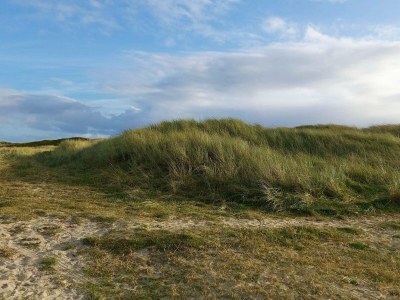 Holiday house Geraumiges Refugium mit Blick -- By Traum Ferienwohnungen - Outdoor photo 28