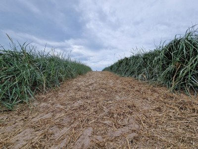 Holiday house Geraumiges Refugium mit Blick -- By Traum Ferienwohnungen - Outdoor photo 29