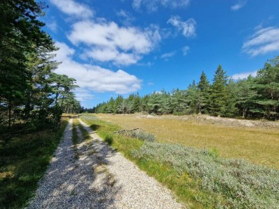 Holiday house Geraumiges Refugium mit Blick -- By Traum Ferienwohnungen - Outdoor photo 30
