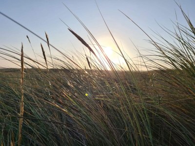 Holiday house Geraumiges Refugium mit Blick -- By Traum Ferienwohnungen - Outdoor photo 32