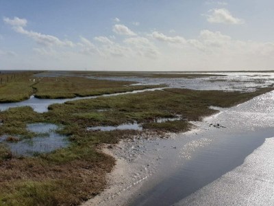 Holiday house Geraumiges Refugium mit Blick -- By Traum Ferienwohnungen - Outdoor photo 35
