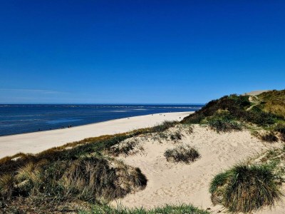 Holiday house 6 person holiday home in Blåvand-By Traum - Outdoor photo 27