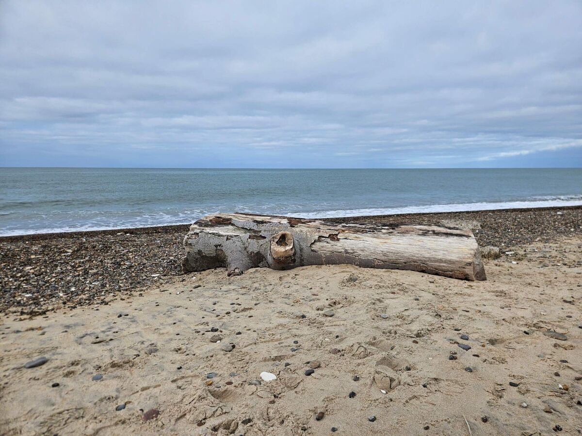 Holiday house Family-friendly Retreat near Beach - By Traum Ferienwohnungen - Outdoor photo 5