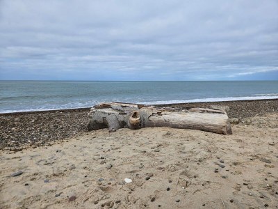 Holiday house Family-friendly Retreat near Beach - By Traum Ferienwohnungen - Outdoor photo 5