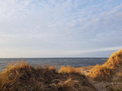 Holiday house Family-friendly Retreat near Beach - By Traum Ferienwohnungen - Outdoor photo 7