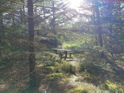 Holiday house Family-friendly Retreat near Beach - By Traum Ferienwohnungen - Outdoor photo 29