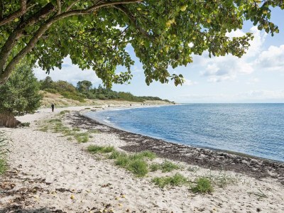Holiday house Ferienhaus mit Sauna am Strand - Outdoor photo 8