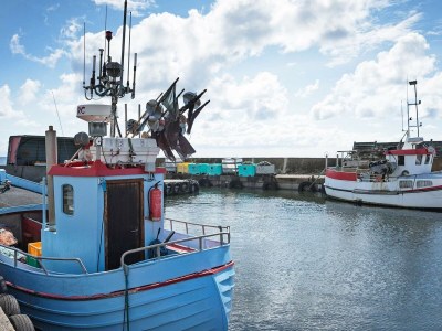 Holiday house Ferienhaus mit Sauna am Strand - Outdoor photo 15
