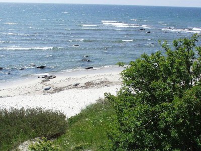 Holiday house Ferienhaus mit Sauna am Strand - Outdoor photo 20