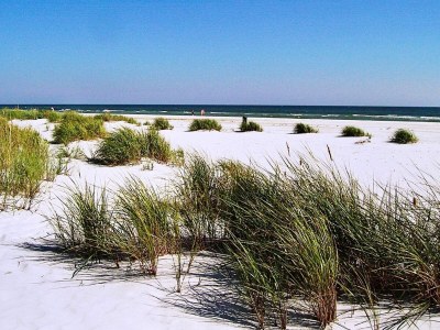 Holiday house 8 Personen Ferienhaus in Nexø-By Traum - Outdoor photo 11