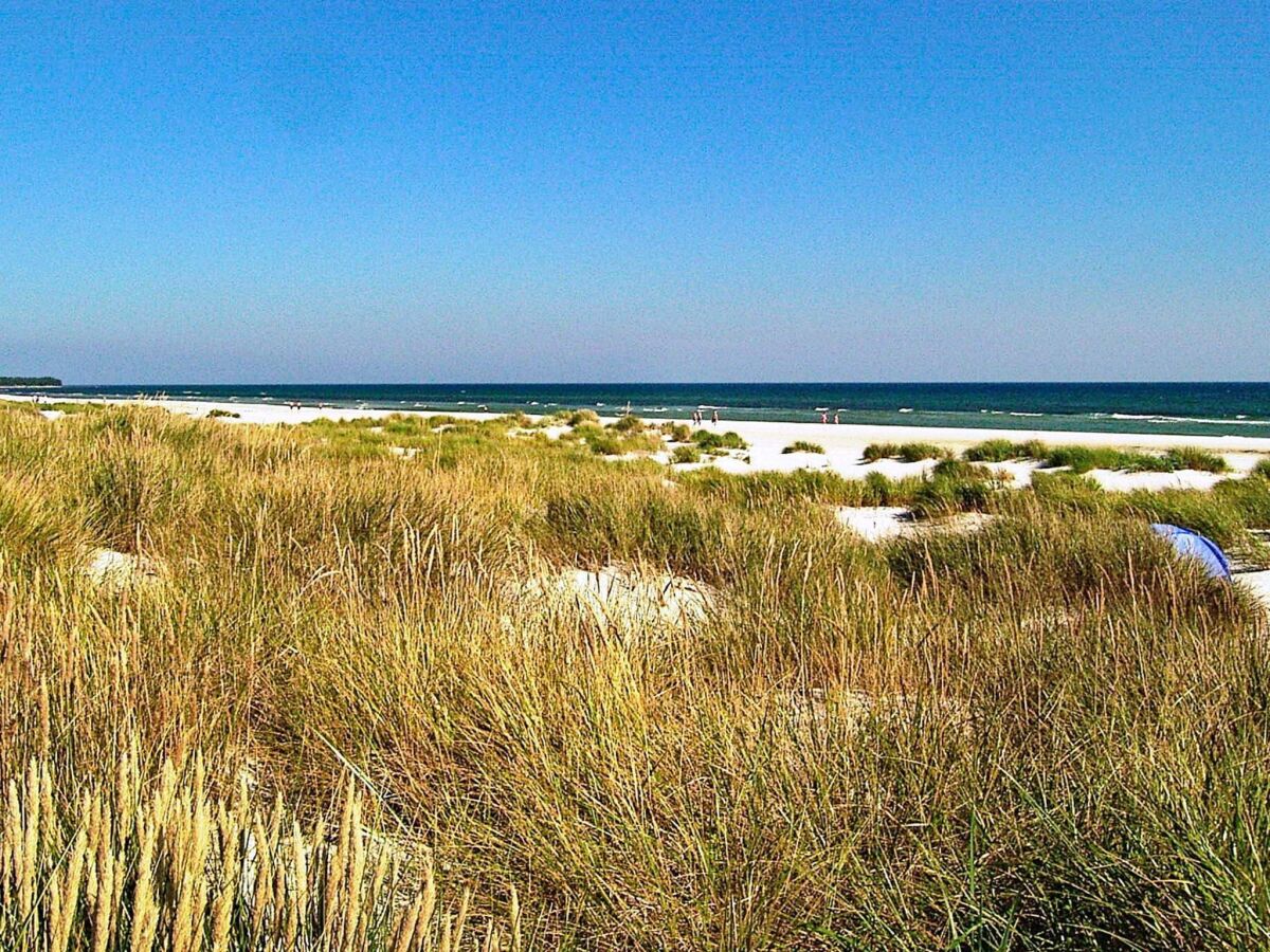 Holiday house Charmantes Strandhaus -- By Traum Ferienwohnungen - Outdoor photo 4