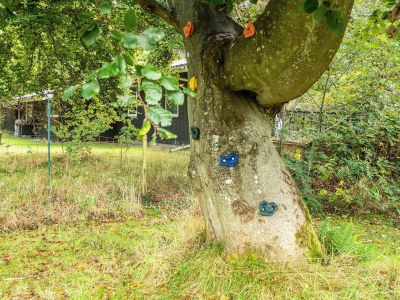Holiday house 8 Personen Ferienhaus in Ørsted-By Traum - Outdoor photo 11