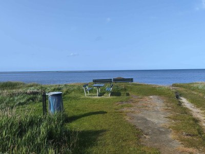 Holiday house 8 Personen Ferienhaus in Ørsted-By Traum - Outdoor photo 16