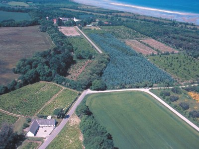 Holiday house 14 Personen Ferienhaus in Ørsted-By Traum - Outdoor photo 25