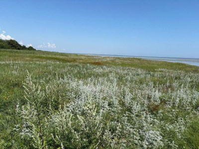 Holiday house 14 Personen Ferienhaus in Ørsted-By Traum - Outdoor photo 29