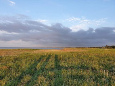 Holiday house 8 Personen Ferienhaus in Ørsted-By Traum - Outdoor photo 23