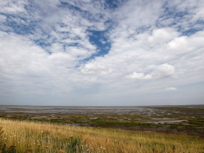 Holiday house 6 Personen Ferienhaus in Skærbæk-By Traum - Outdoor photo 33