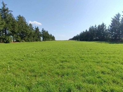 Holiday house 6 Personen Ferienhaus in Skærbæk-By Traum - Outdoor photo 14