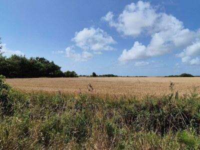 Holiday house 6 Personen Ferienhaus in Skærbæk-By Traum - Outdoor photo 37
