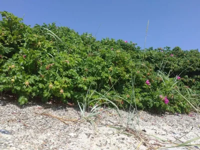 Holiday house Secluded Haven in Kelstrup - By Traum Ferienwohnungen - Outdoor photo 12