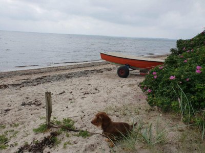 Holiday house Secluded Haven in Kelstrup - By Traum Ferienwohnungen - Outdoor photo 20
