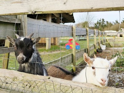 Holiday house 6 Personen Ferienhaus in Struer-By Traum - Outdoor photo 4