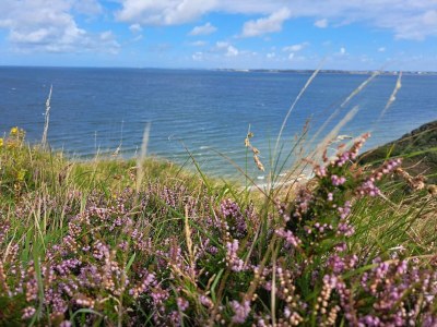 Holiday house 6 Personen Ferienhaus in Struer-By Traum - Outdoor photo 17