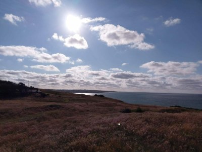 Holiday house 6 Personen Ferienhaus in Struer-By Traum - Outdoor photo 21