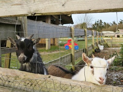 Holiday house 6 person holiday home in Struer-By Traum - Outdoor photo 19