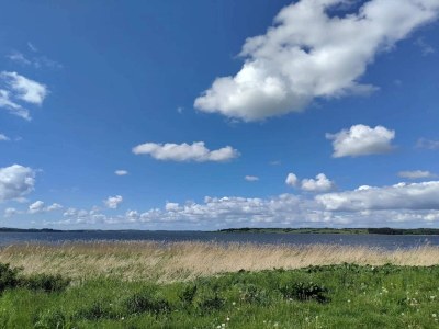 Holiday house 8 person holiday home in Løgstrup-By Traum - Outdoor photo 16