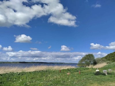 Holiday house 8 person holiday home in Løgstrup-By Traum - Outdoor photo 18